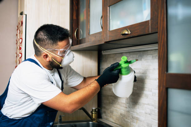 Best Pest Control Treatment  in Branford Center, CT