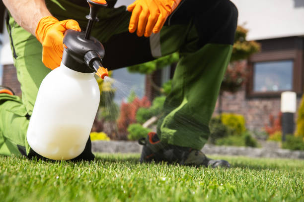 Best Emergency Pest Control  in Branford Center, CT