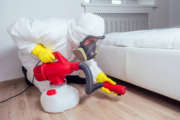 Best Affordable Pest Control Services  in Branford Center, CT