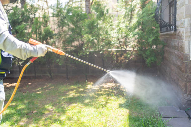 Best Pest Inspection Near Me  in Branford Center, CT