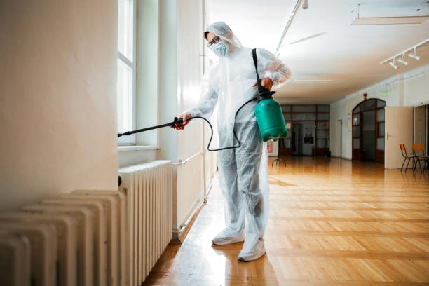 Trusted Branford Center, CT Pest Control Experts